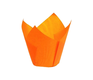 Caissette Tulipcup orange - x200